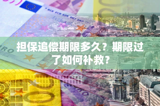 济南担保追偿期限多久？期限过了如何补救？