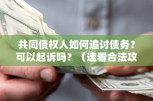 济南共同债权人如何追讨债务？可以起诉吗？（速看合法攻略）