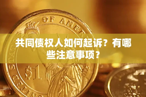 济南共同债权人如何起诉？有哪些注意事项？
